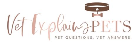 Why Do Girl Dogs Hump Each Other – [Vet Explains Pets]